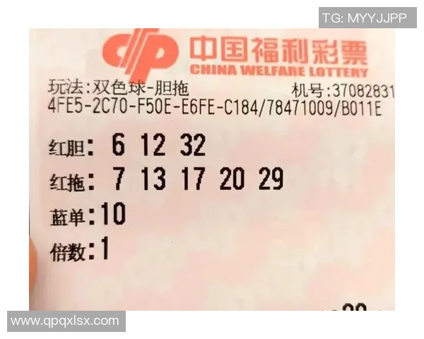 双色球篮球胆拖玩法解析与技巧分享助你轻松中大奖 双色球篮球胆拖玩法解析与技巧分享助你轻松中大奖