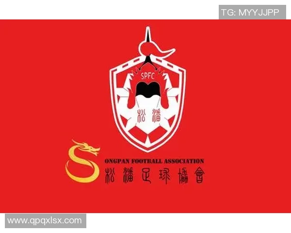 南京足球行业人才招聘信息发布助力职业发展与球队建设